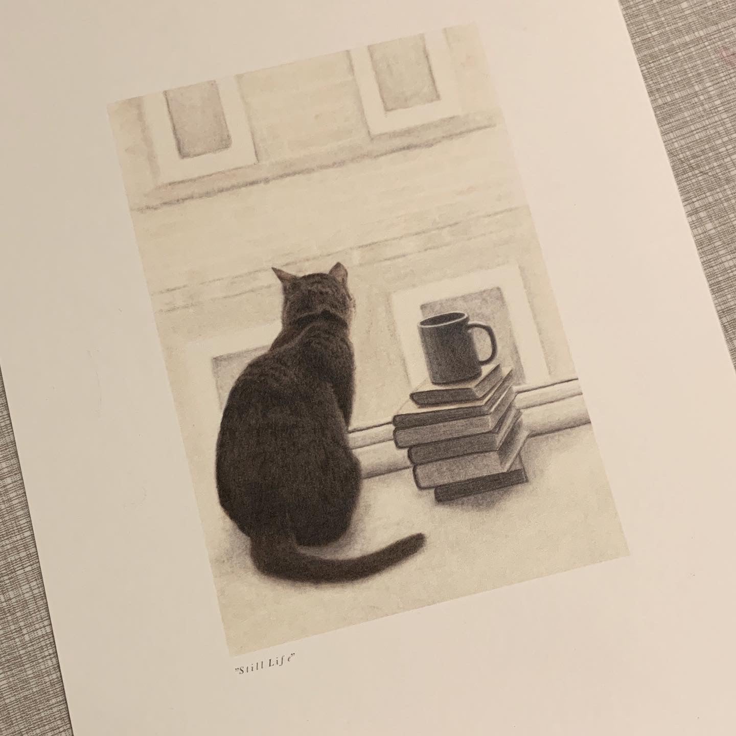 Still Life