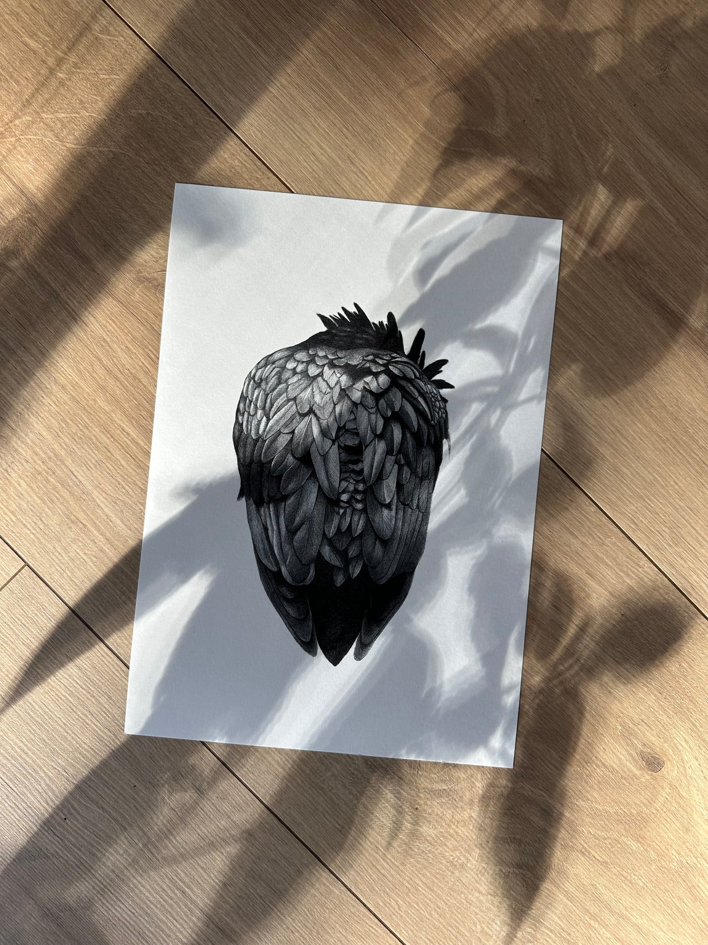 Raven